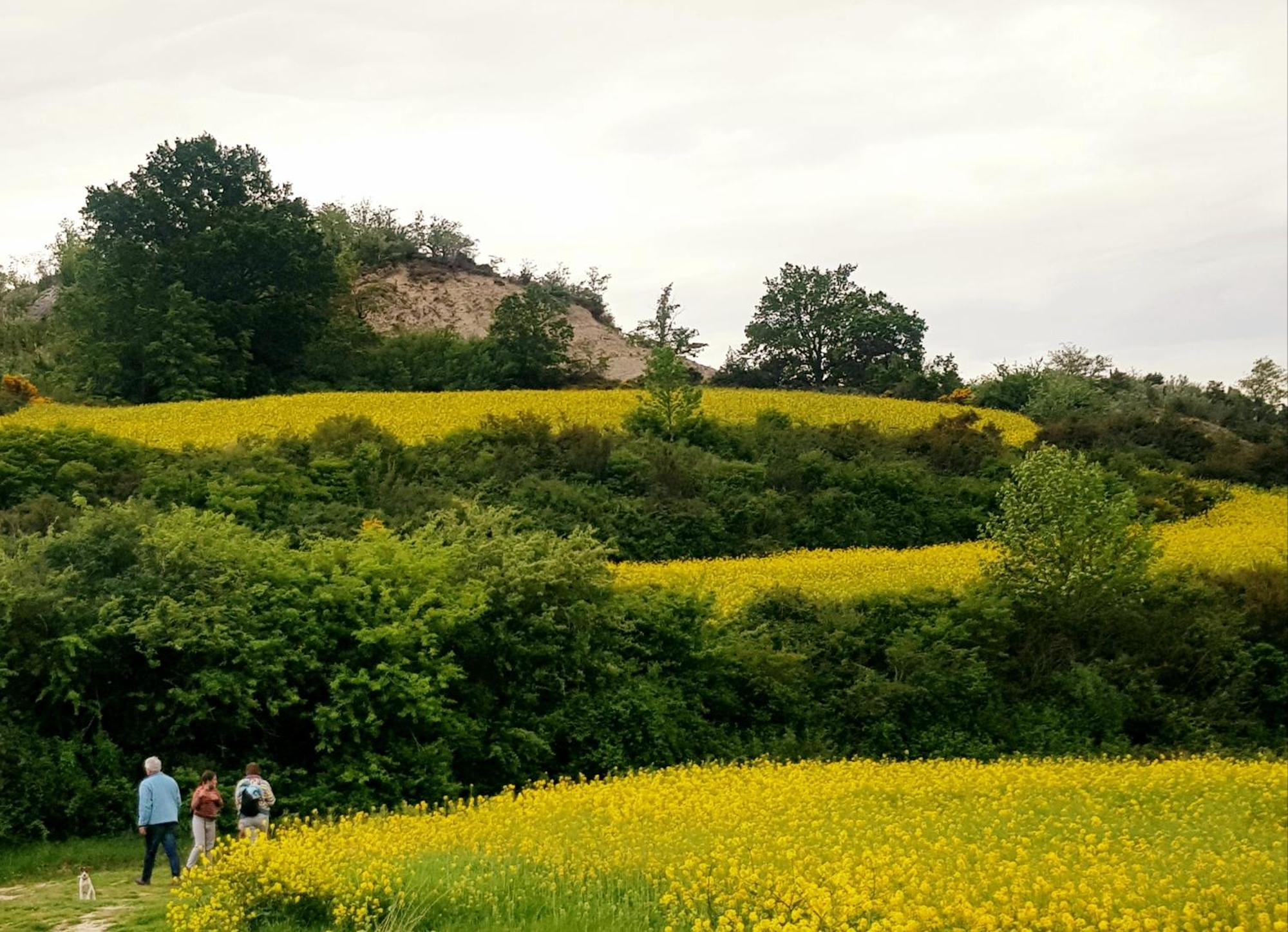 Casa Rural Basaula Muneta 외부 사진